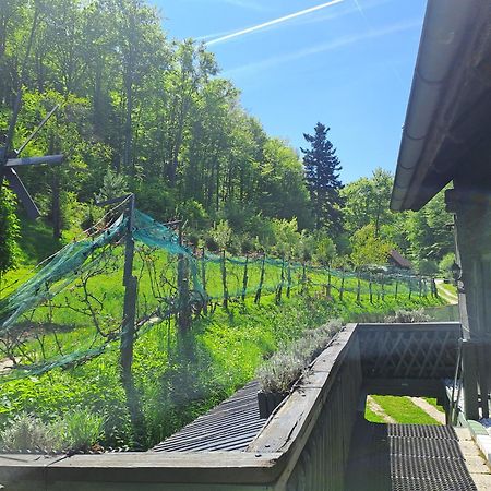 Das Altsteirische Landhaus - La Maison De Pronegg - Feriendomizil Im Biosphaerenpark Wienerwald Pressbaum Exteriör bild