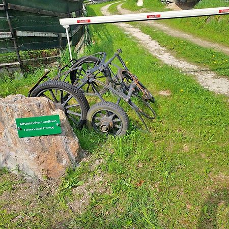 Das Altsteirische Landhaus - La Maison De Pronegg - Feriendomizil Im Biosphaerenpark Wienerwald Pressbaum Exteriör bild