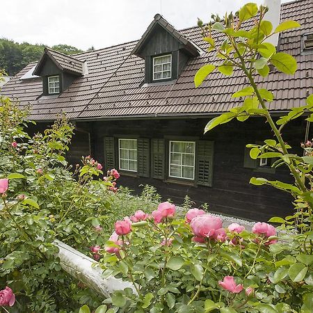 Das Altsteirische Landhaus - La Maison De Pronegg - Feriendomizil Im Biosphaerenpark Wienerwald Pressbaum Rum bild