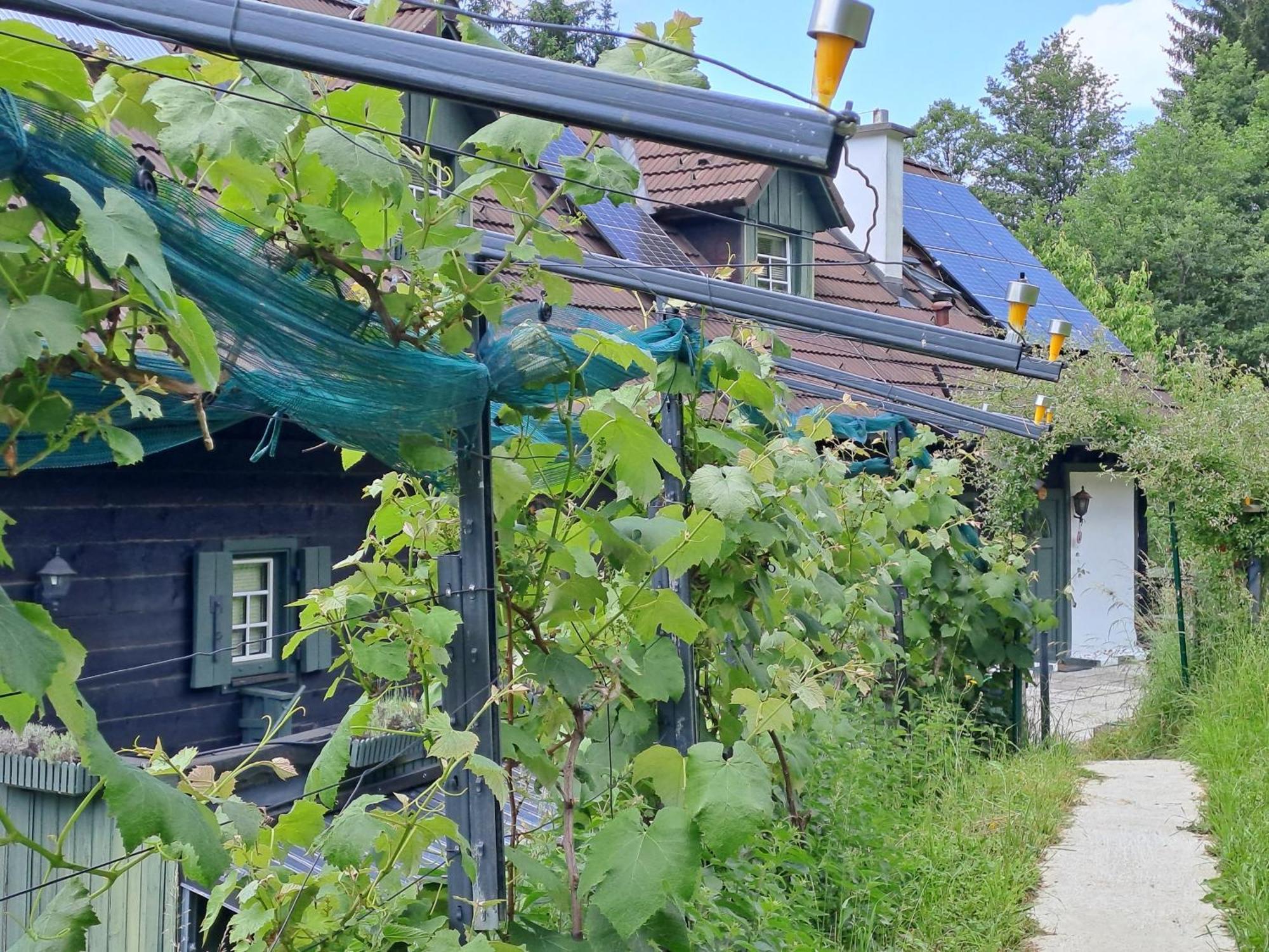 Das Altsteirische Landhaus - La Maison De Pronegg - Feriendomizil Im Biosphaerenpark Wienerwald Pressbaum Exteriör bild