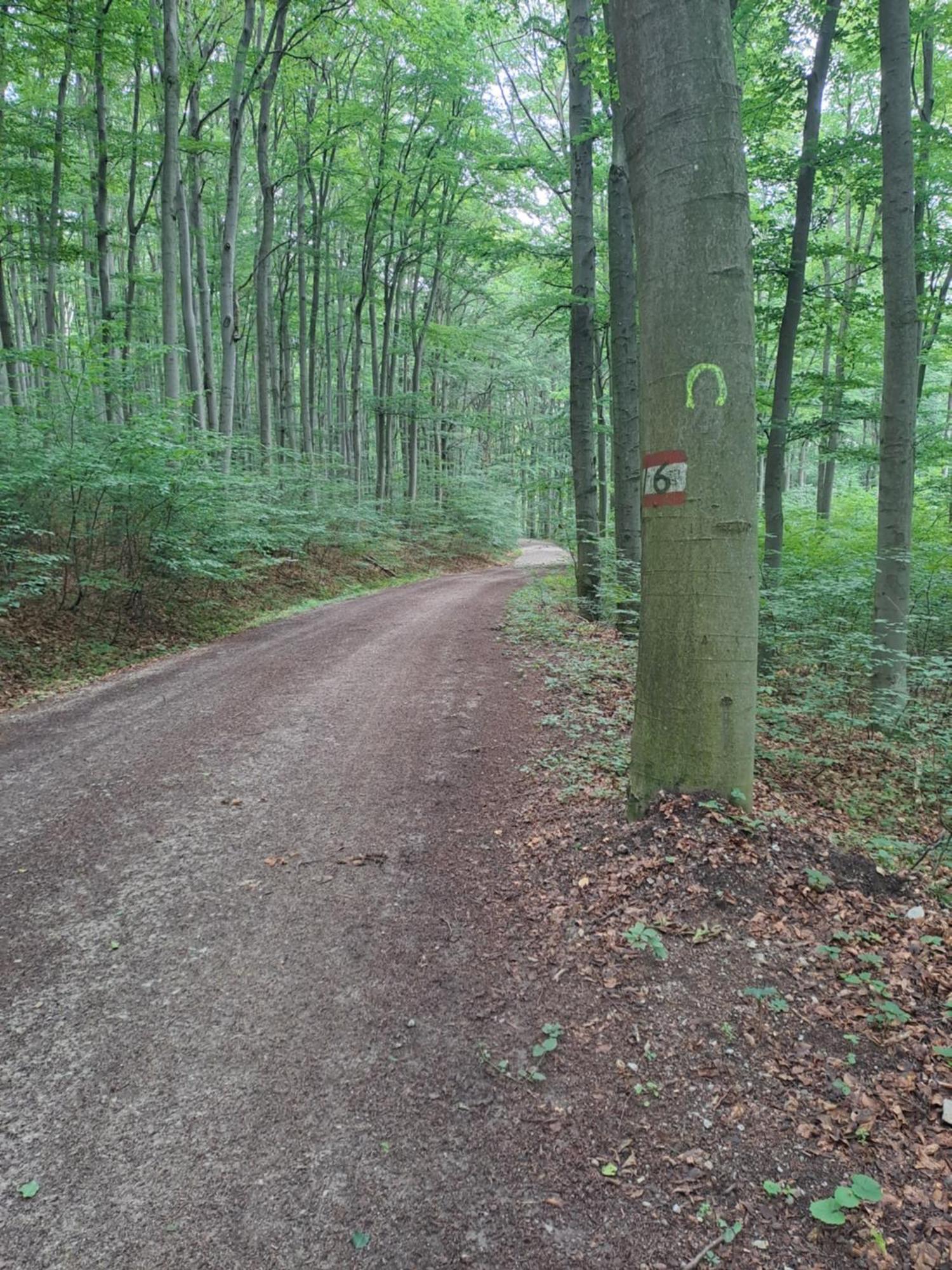 Das Altsteirische Landhaus - La Maison De Pronegg - Feriendomizil Im Biosphaerenpark Wienerwald Pressbaum Exteriör bild