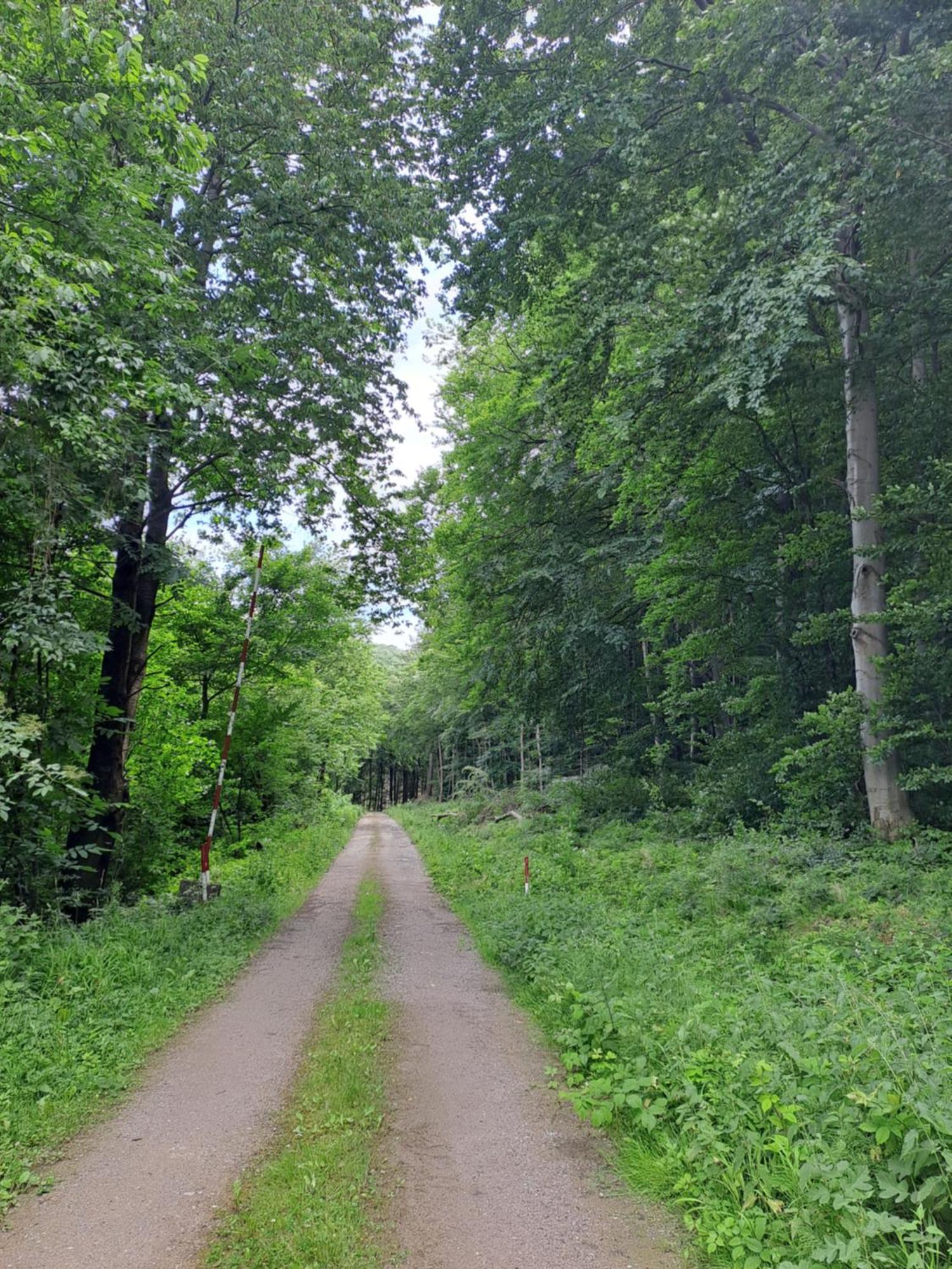 Das Altsteirische Landhaus - La Maison De Pronegg - Feriendomizil Im Biosphaerenpark Wienerwald Pressbaum Exteriör bild
