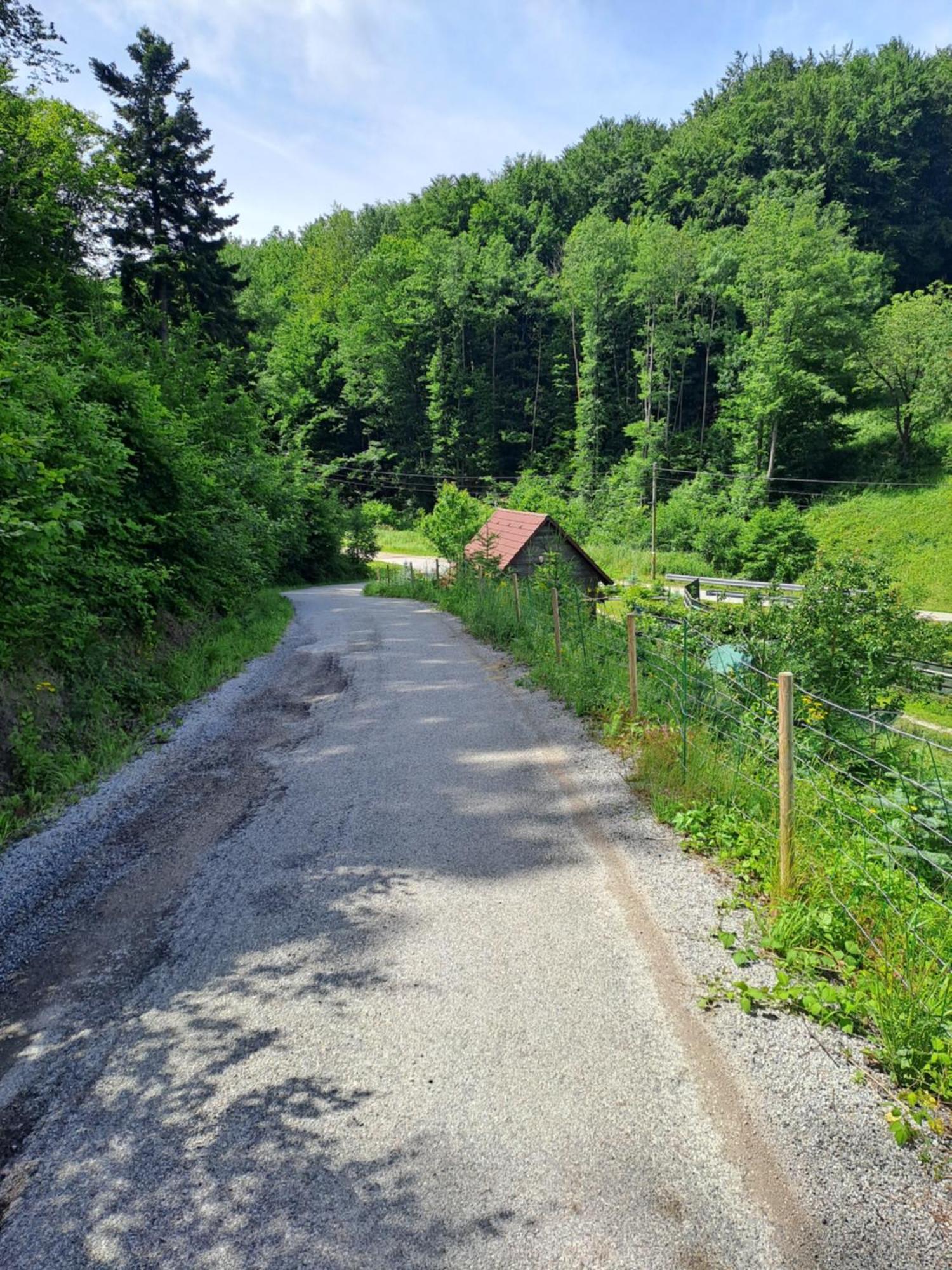 Das Altsteirische Landhaus - La Maison De Pronegg - Feriendomizil Im Biosphaerenpark Wienerwald Pressbaum Exteriör bild