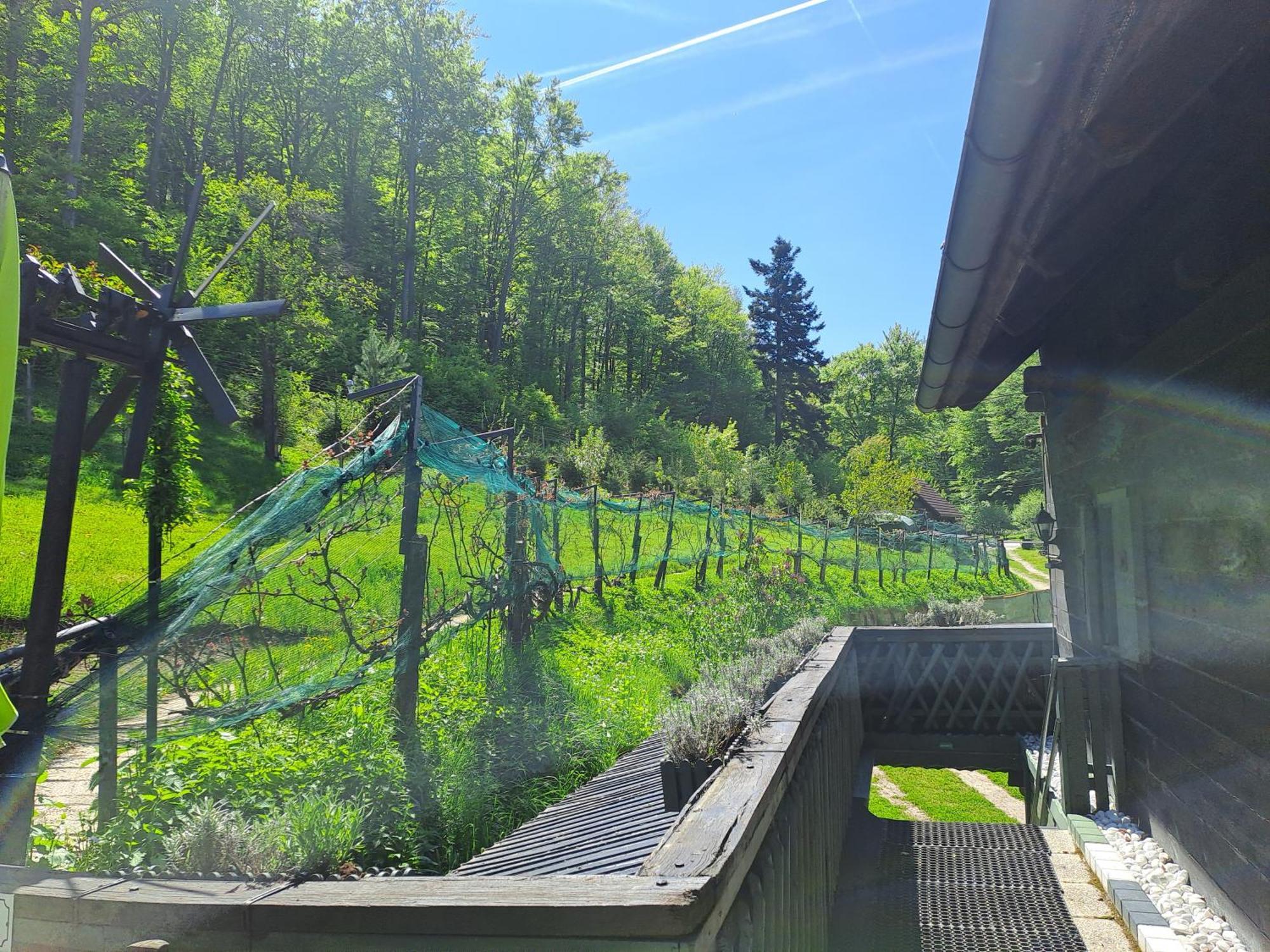 Das Altsteirische Landhaus - La Maison De Pronegg - Feriendomizil Im Biosphaerenpark Wienerwald Pressbaum Exteriör bild