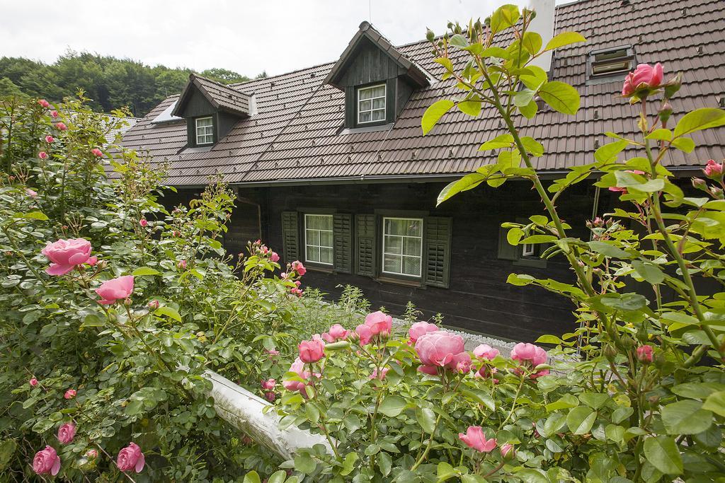 Das Altsteirische Landhaus - La Maison De Pronegg - Feriendomizil Im Biosphaerenpark Wienerwald Pressbaum Rum bild